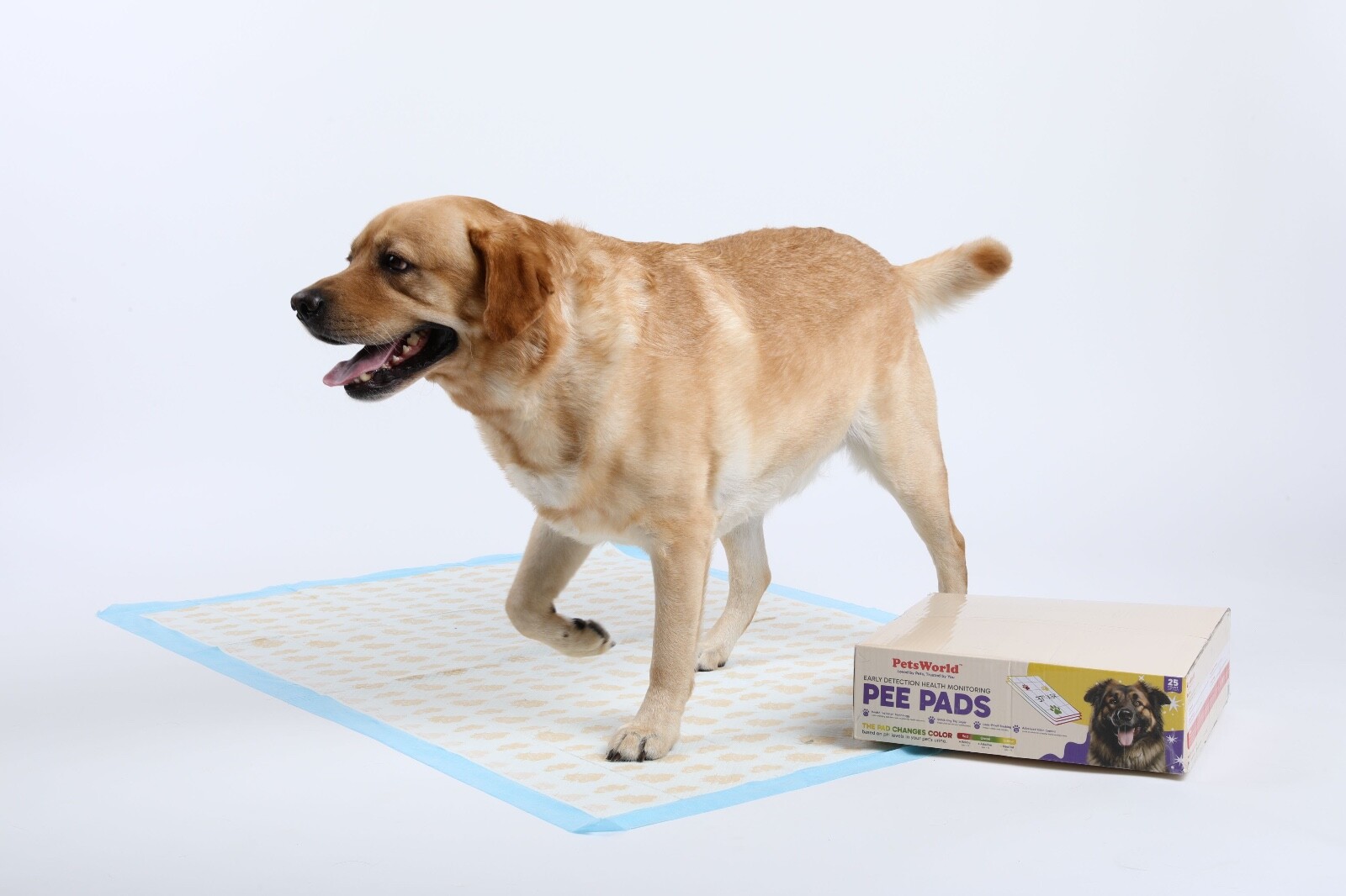 PetsWorld 36×36 Inch Health Monitoring Dog Pee Pads – 25 Count |Color-Changing