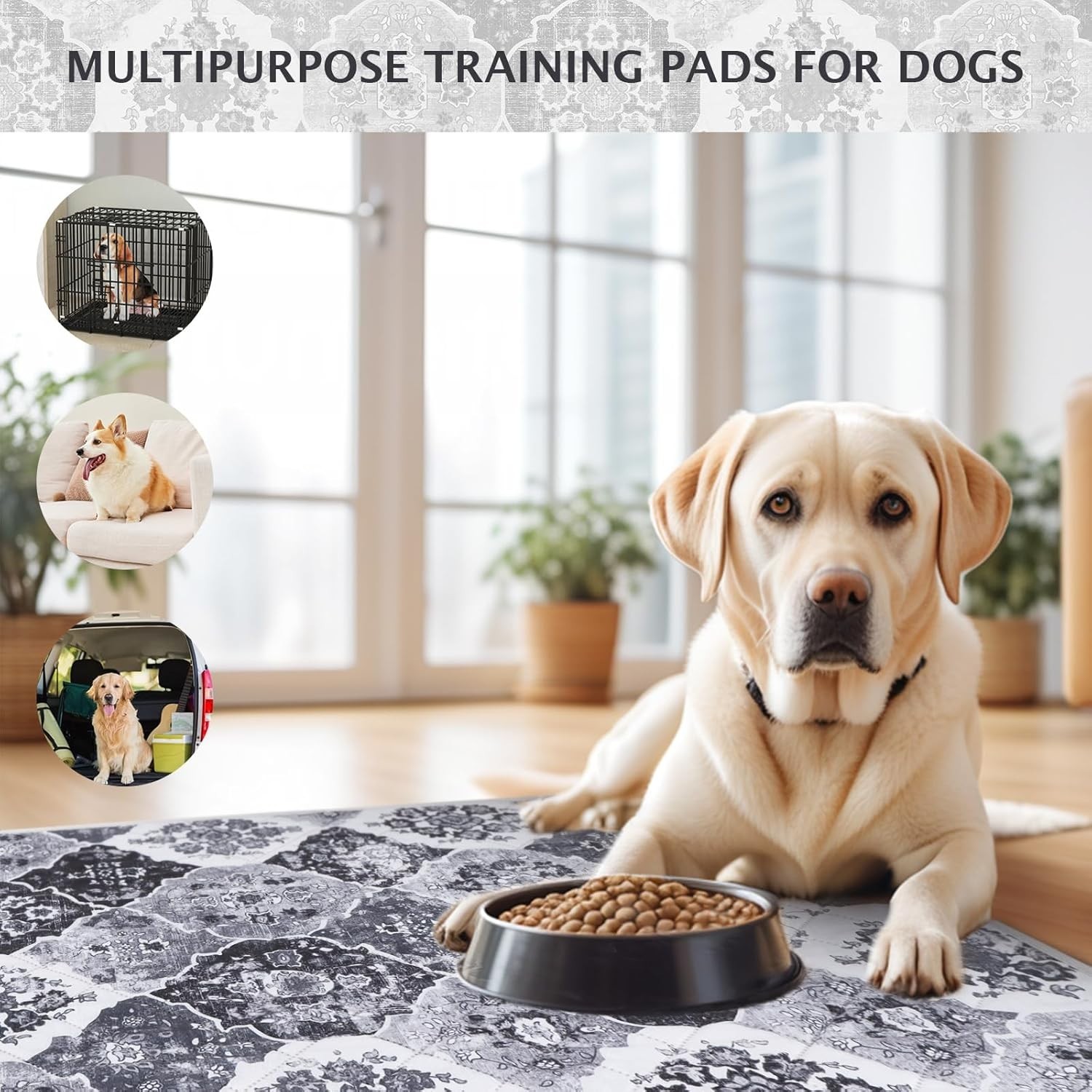 Washable Pee Pads for Dogs, 2 Pack Reusable Pee Pads for Dogs Non-Slip Grip, …