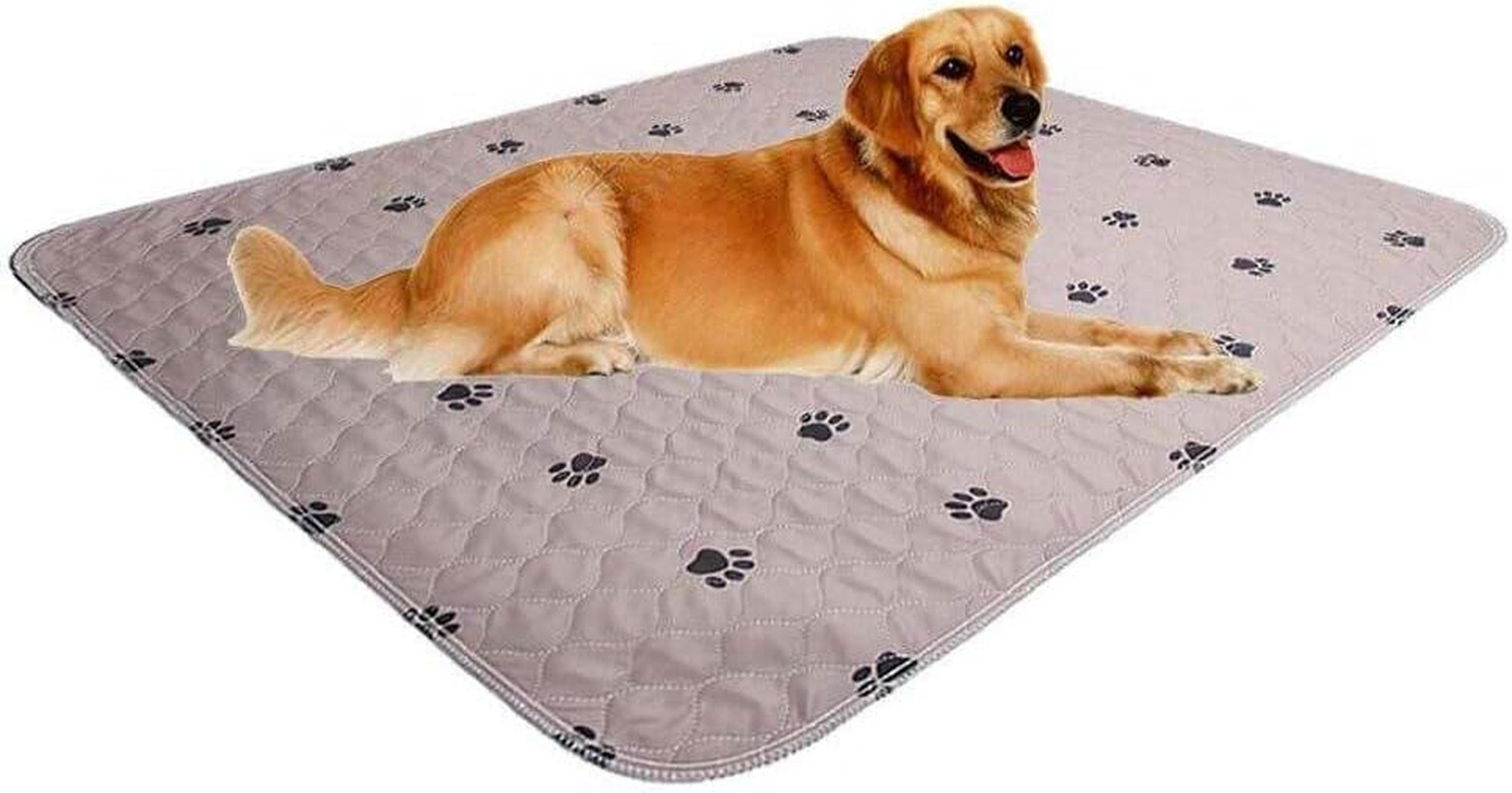 Washable Dog Pee Pads 36X54,Puppy Pads,Reusable Pet Training Pads,Waterproof Pet