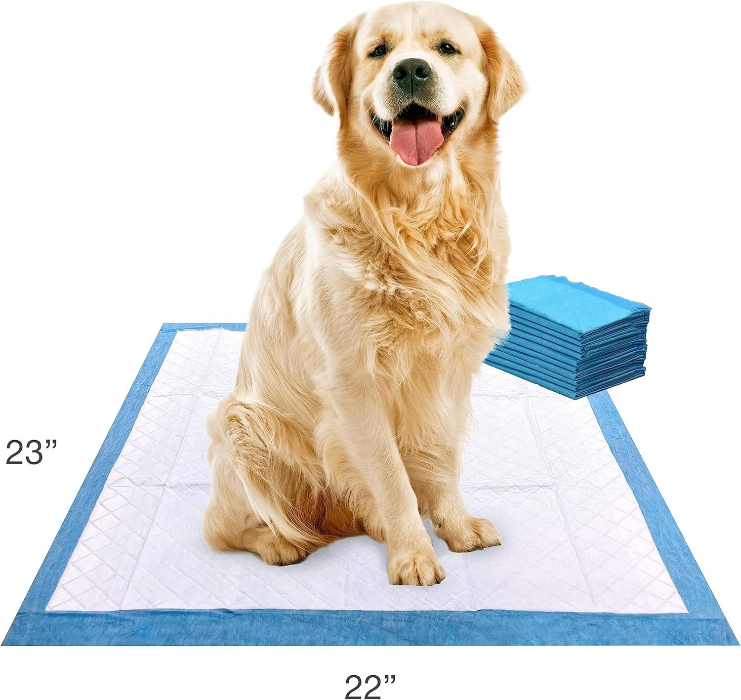 Wee-Wee Unscented Puppy & Dog Pads – 6-Layer Leak-Proof Technology, 10 Count