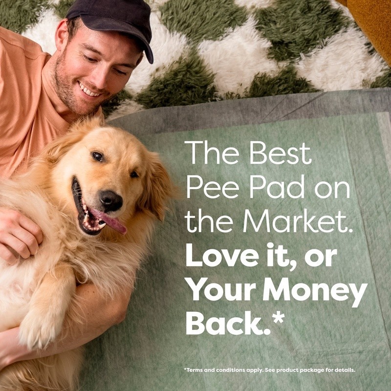 Leakproof Dog Pee Pads Heavy Absorbency Odor Control Adhesive Tabs Training Aid
