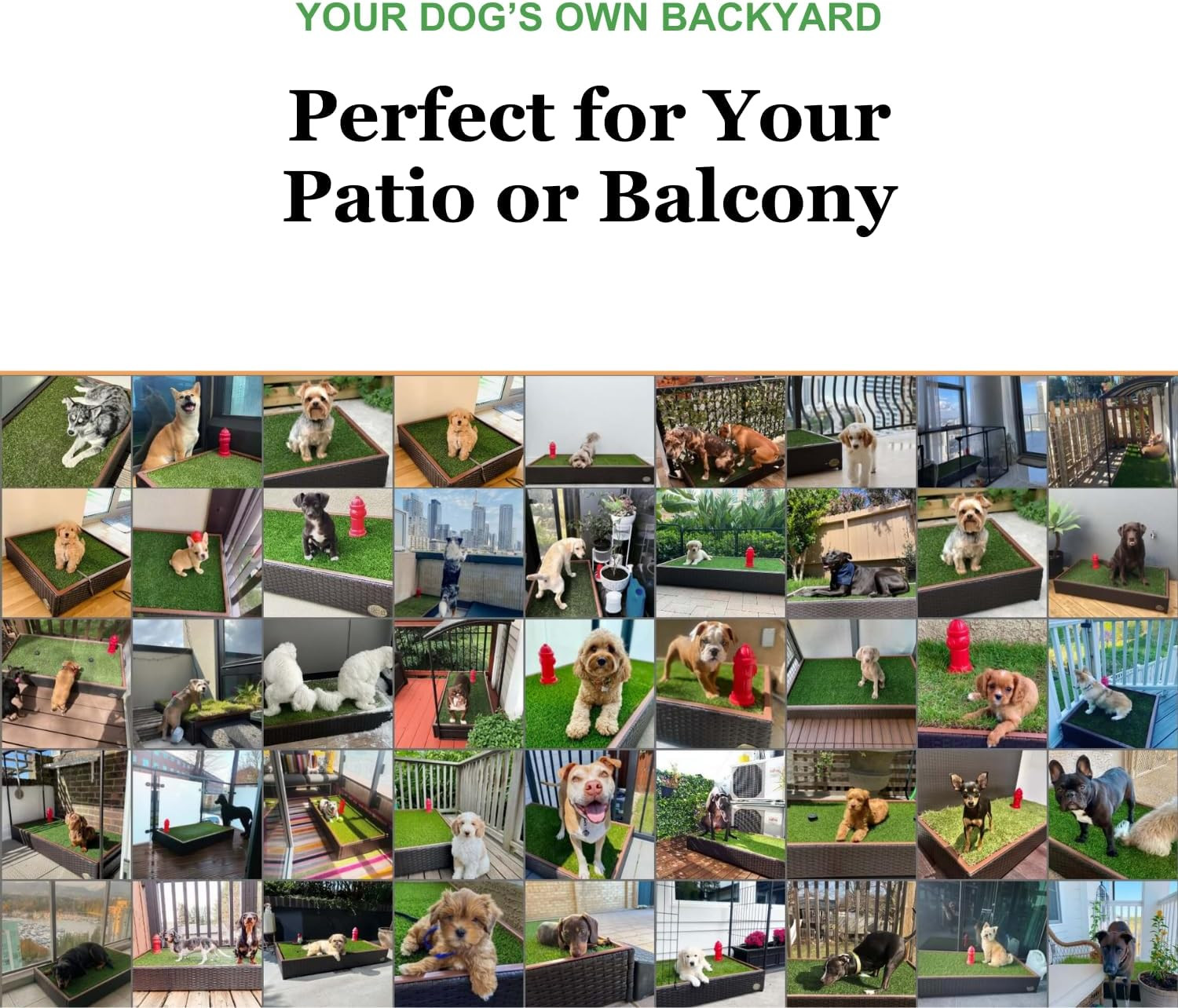 Artificial Grass for Dogs with Sprinkler – Top of the Line Premium Quality 26X50