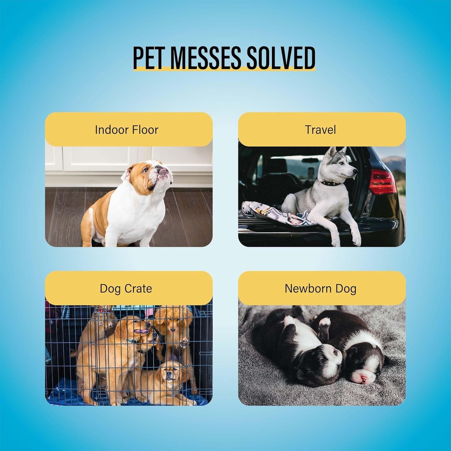 Puppy Pads 30 Count – Absorbency & Easy Cleanup for Pet Owners