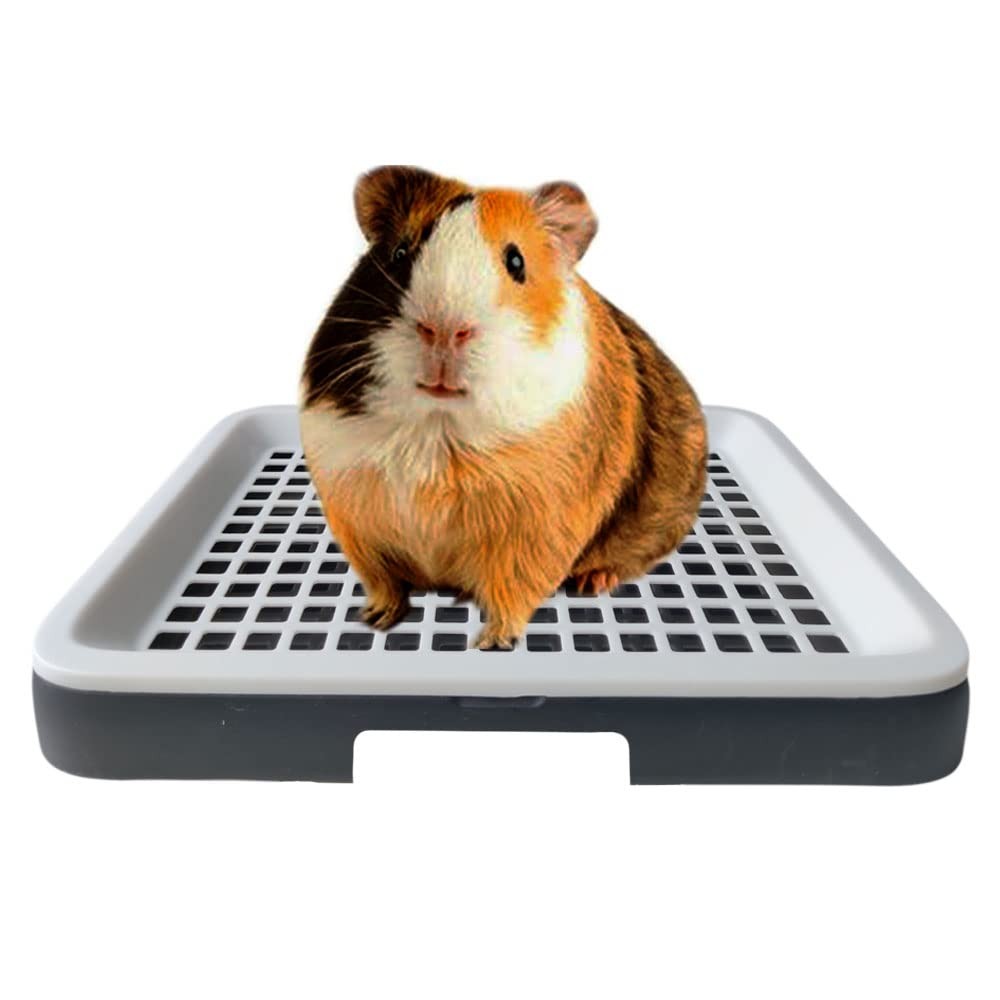 Guinea Pig Litter Tray Pan with Grate for Cage – Small Animal Small, white