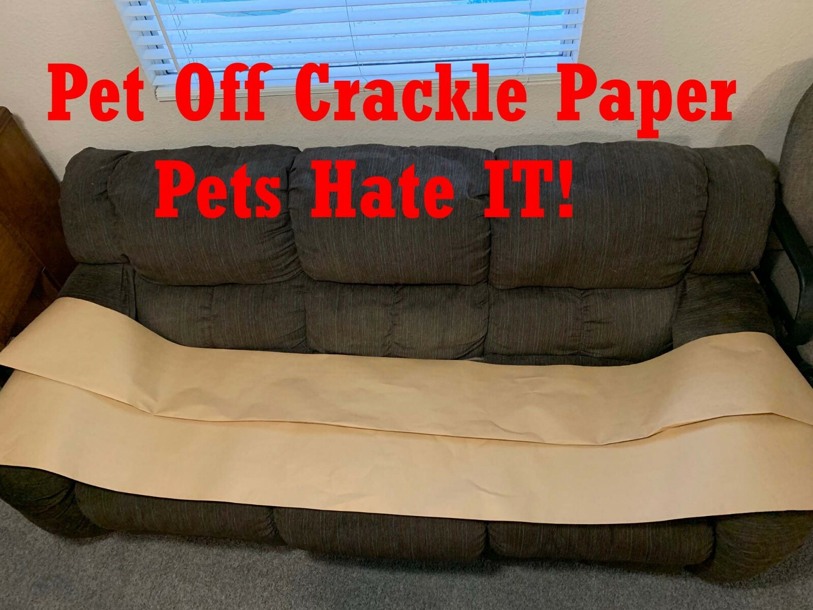 Keep Dogs Off Furniture Pets Hate To Step On This Crackle Paper
