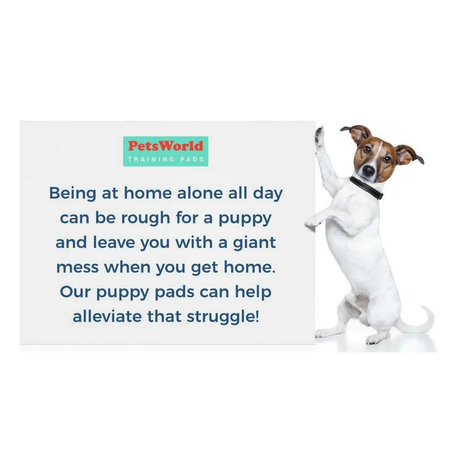 Gigantic Dog Training Pads 36×36 in, 150Ct Disposable Ultra-Absorbent Heavy-Duty