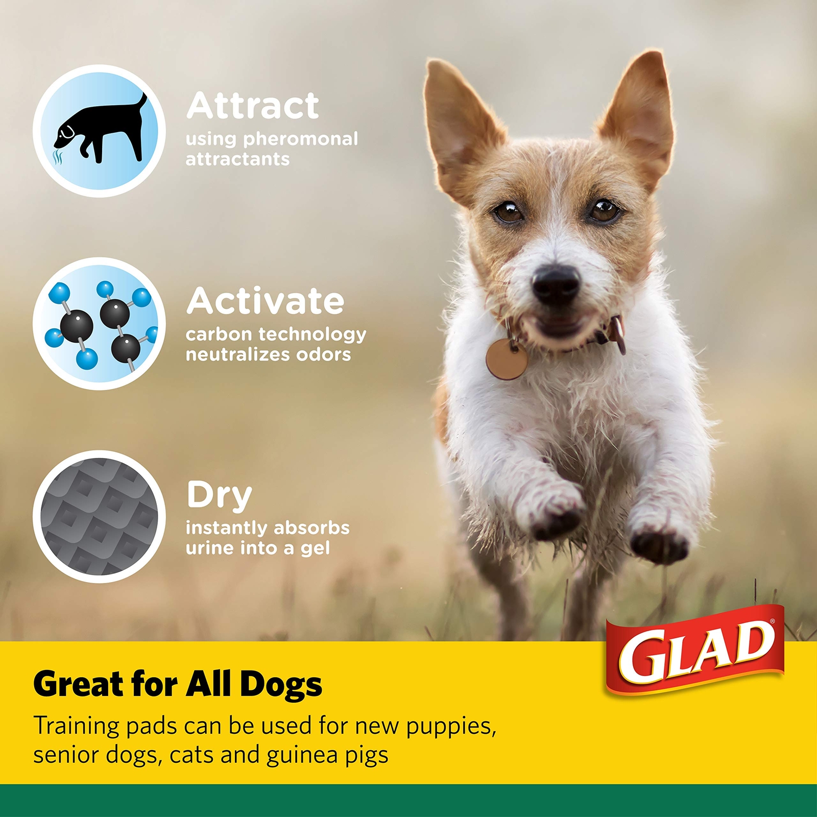 Glad for Pets Activated Carbon XL Puppy Training Pads 48 Count 30 x 36 Inches