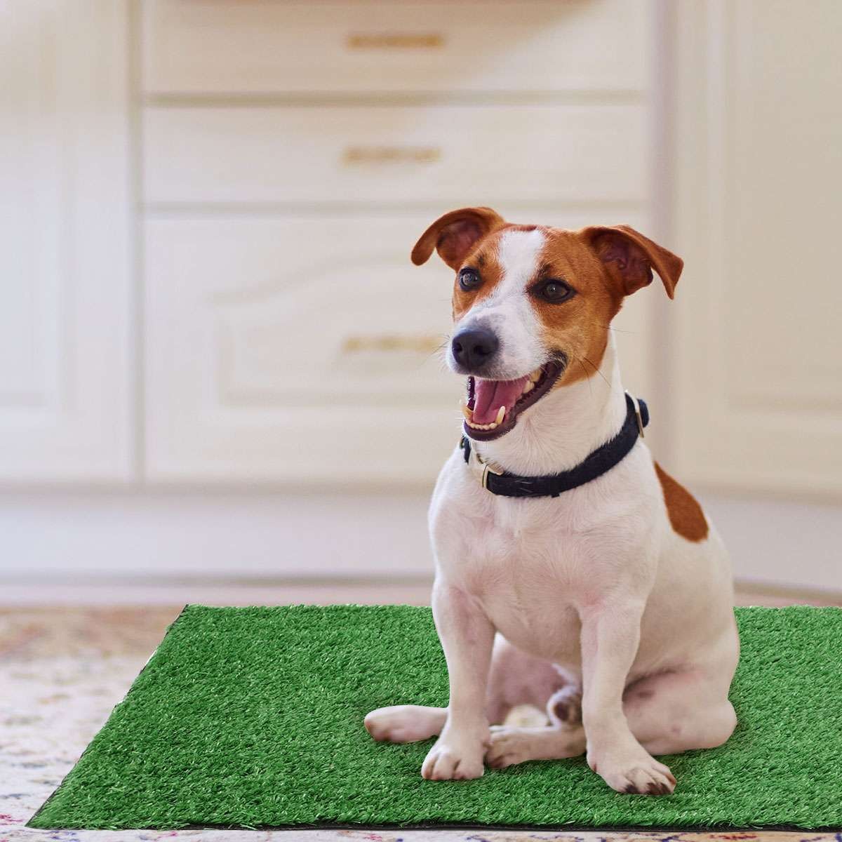 Puppy Dog Potty Training Pee Pad Mat Indoor Tray Dogs Pet Grass House Toilet