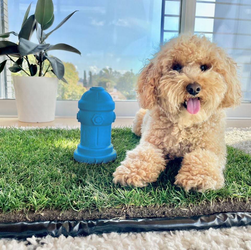Silicone Potty Training Dog Fire Hydrant | Pee Training for Male Dogs | Blue