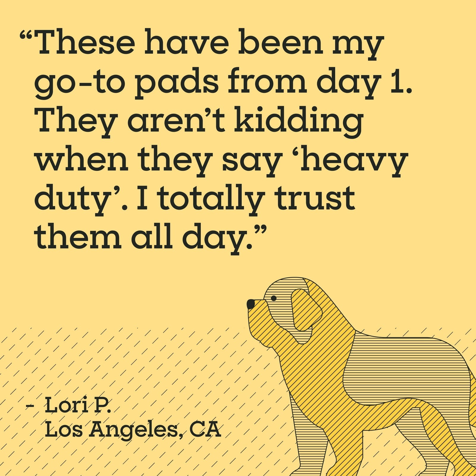 (2 pack Dog Pads Heavy Duty 3XL 36″ x 36″ 25ct