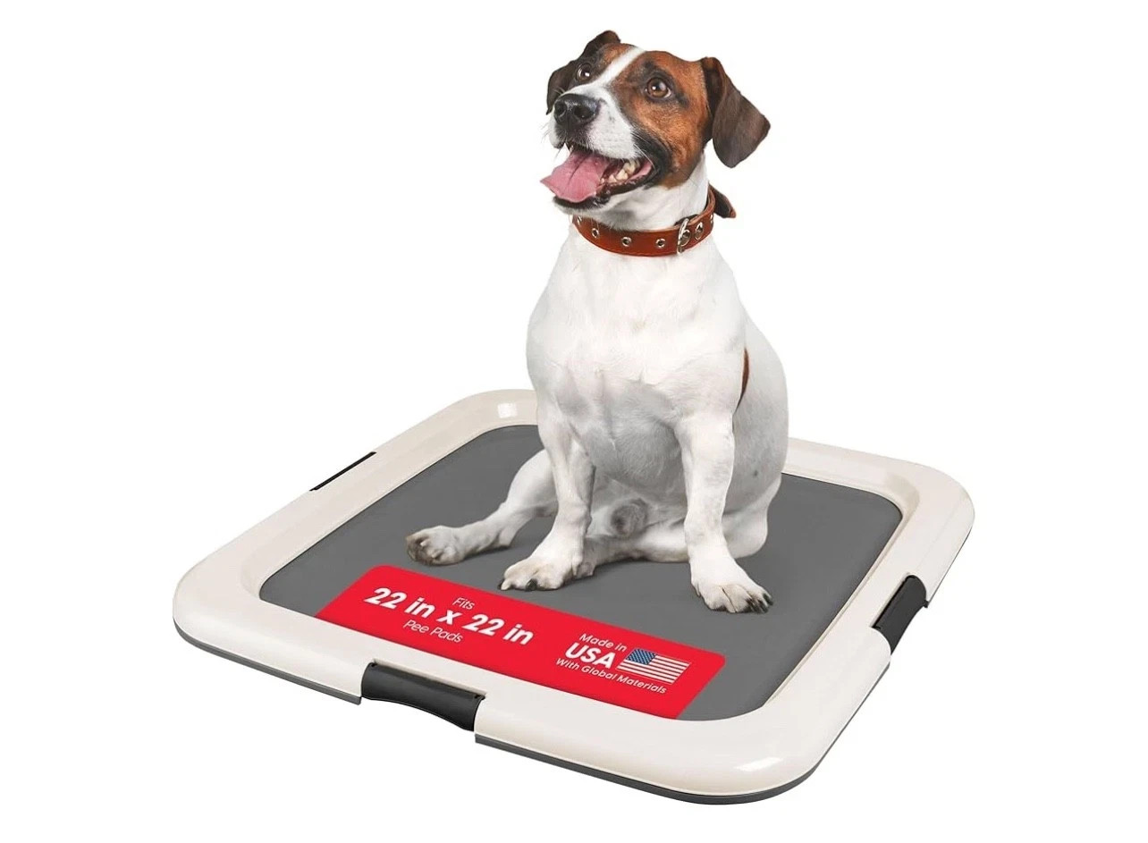 IRIS USA Pee Pad Holder -For Potty Training Regular Sized Dog Pee Pad Holder 6pk
