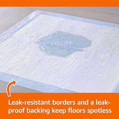 Amazon Basics Potty Training Pads, 22×22, Super Absorbent, 100 Pack