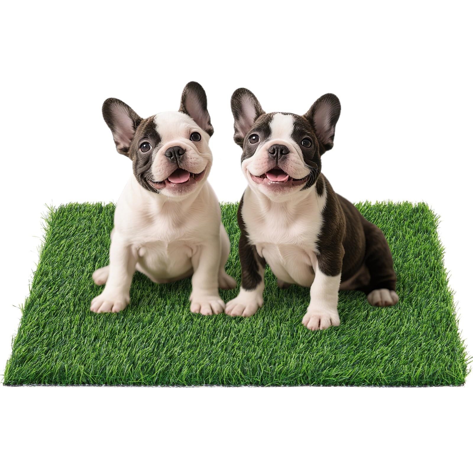 Artificial Grass Pad for Dogs Potty: Fake Grass for Dogs Puppy Potty Training…