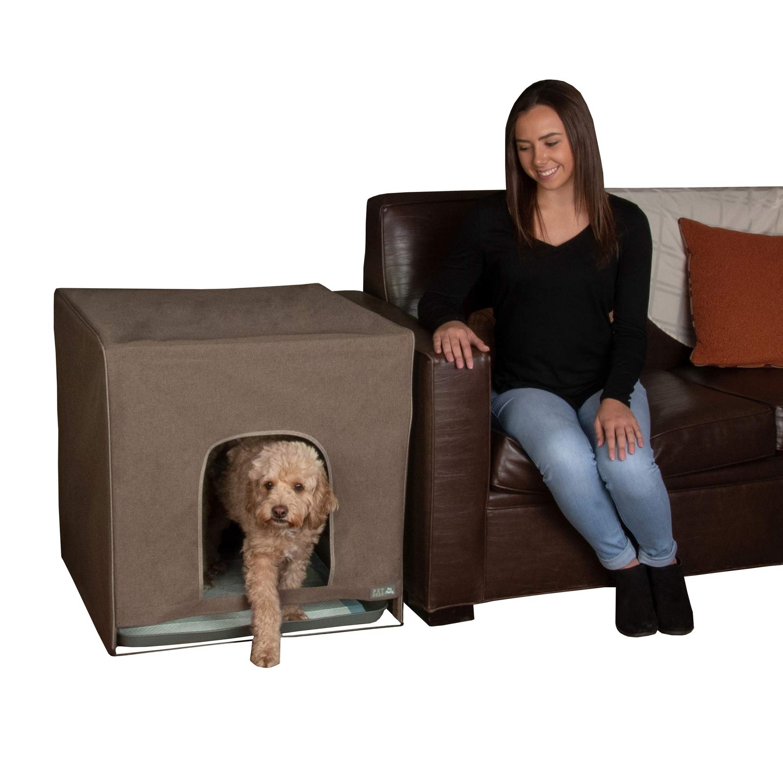 Pro Pawty, Potty Training Aid for Pee Pad/Grass Patch, Removable Tray Holds P…