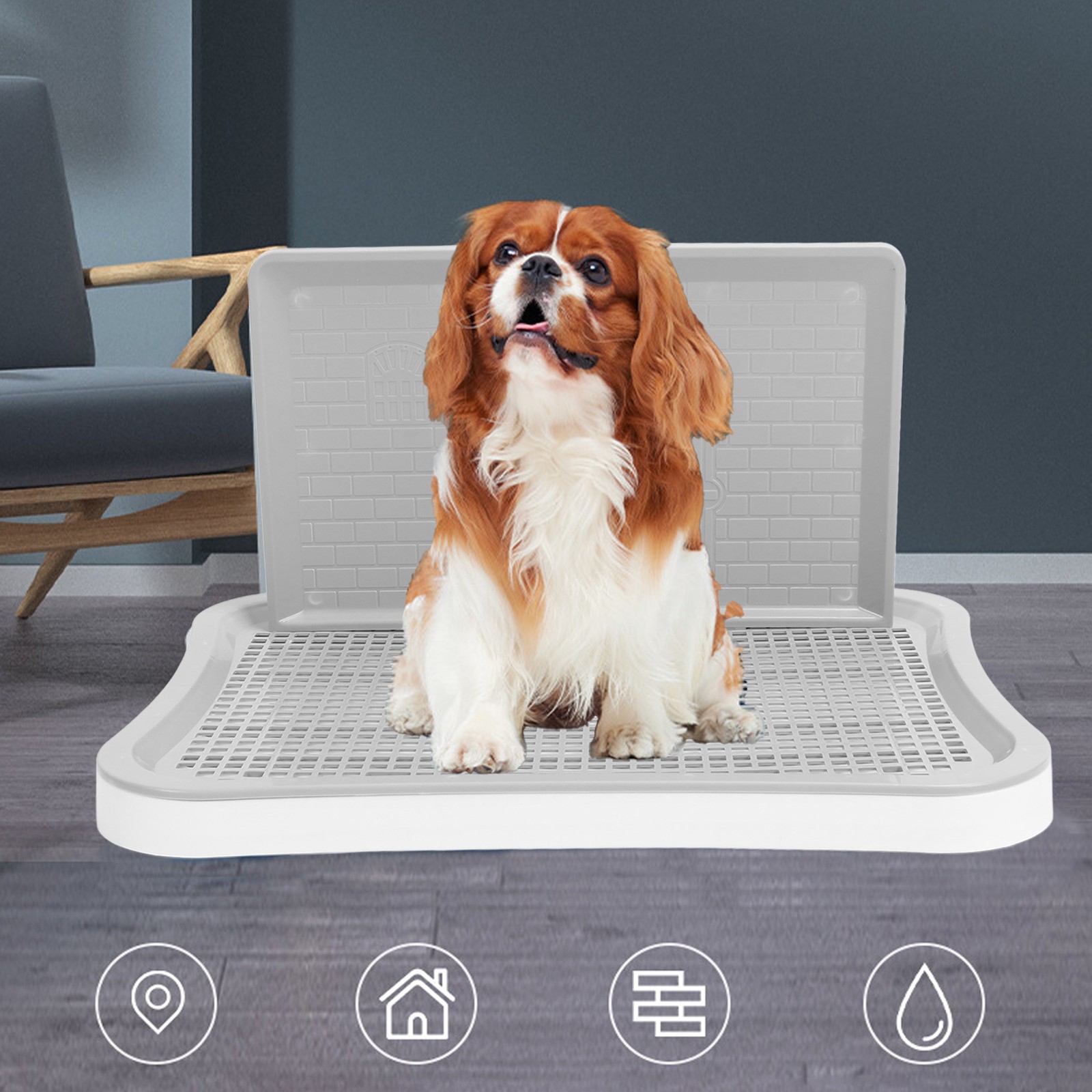 Removable Portable Dog Training Toilet For Large Small Pets Trending
