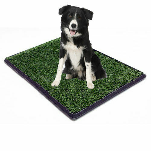 Replacement Grass Pet Turf for Dog or Cat Potty Trays – Fits Trays 20″ x 30″