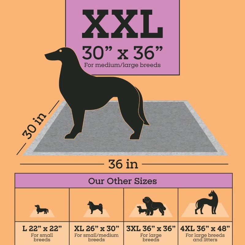 Odor Controlling Training Pads with Charcoal for Dogs – XXL – 15ct