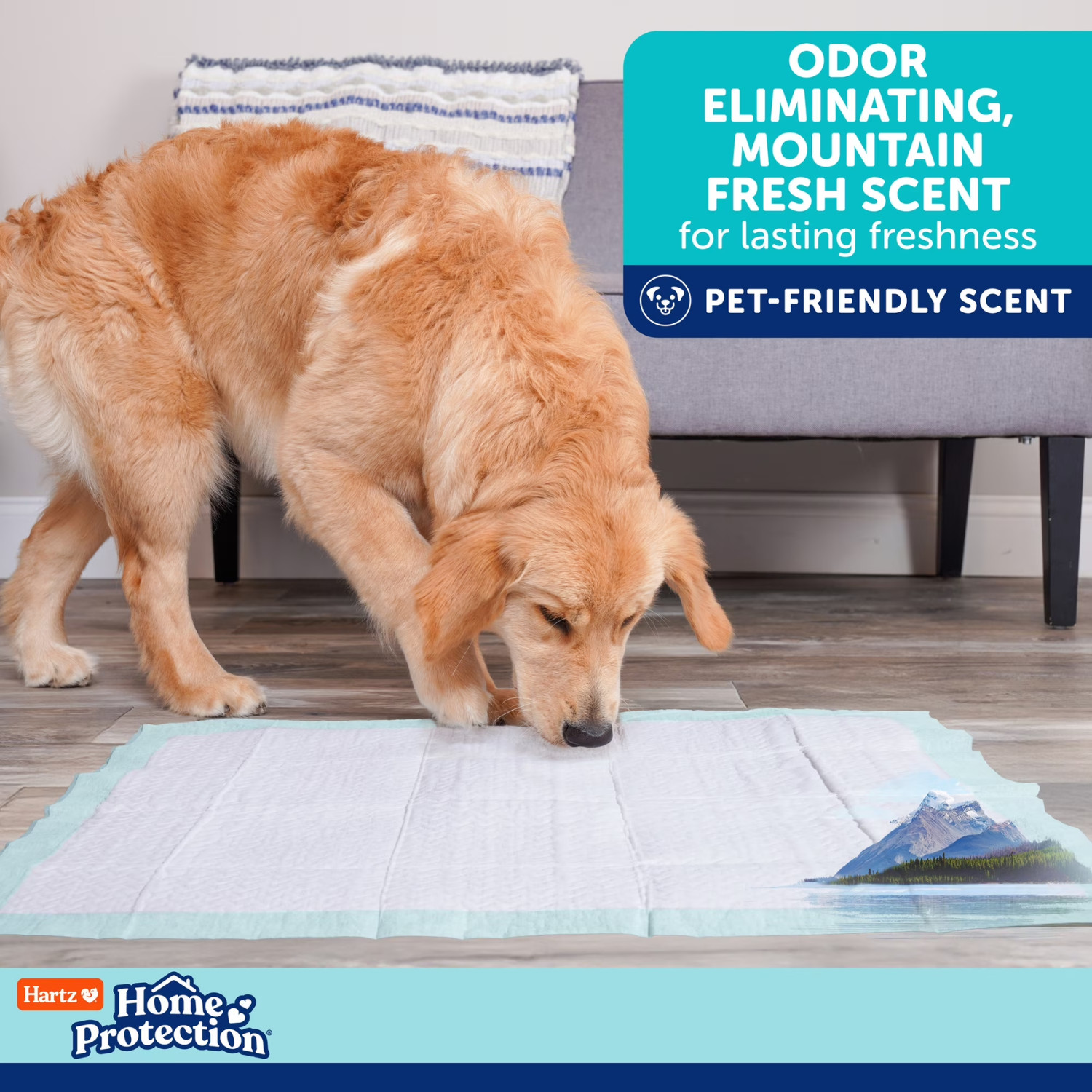 2 Pack Hartz Dog Pads 2XL 30×30 20Ct Mountain Fresh Odor Control Leak Training