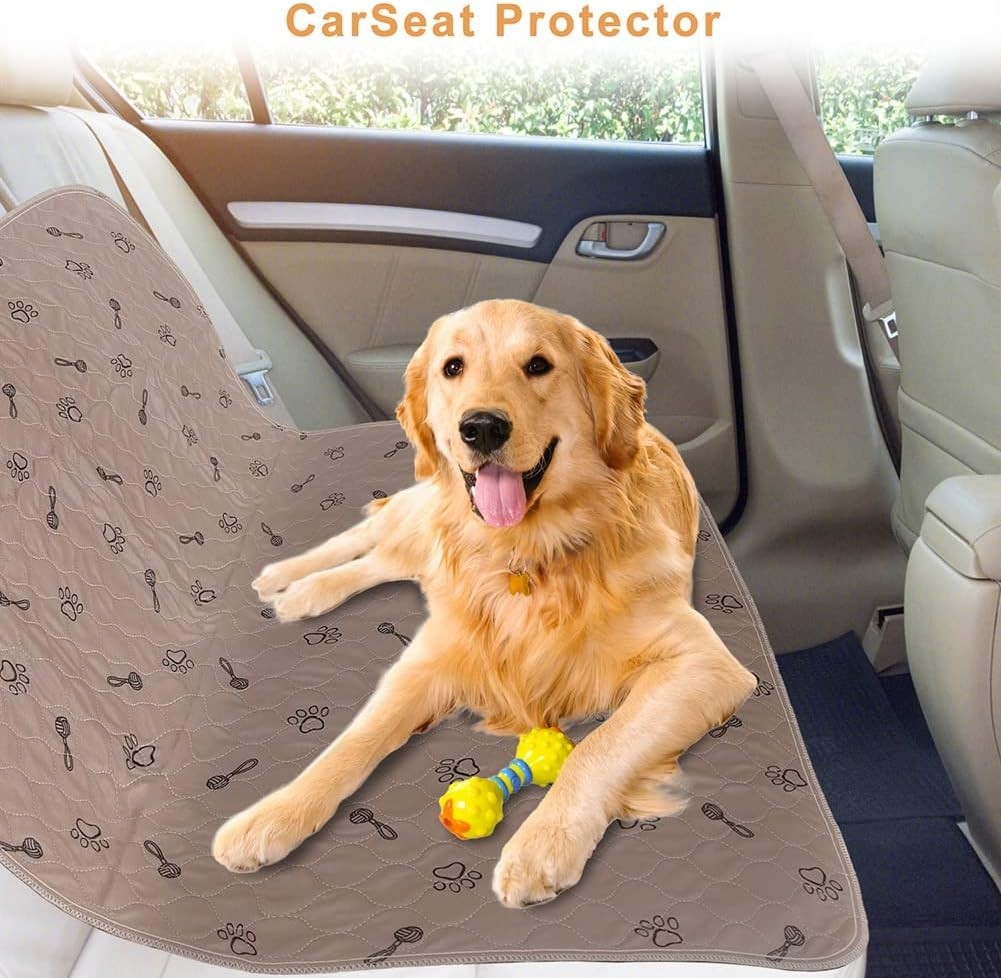 Ultra Waterproof 36×36 Reusable Dog Pads – 2-Pack with Fast Absorbent Design