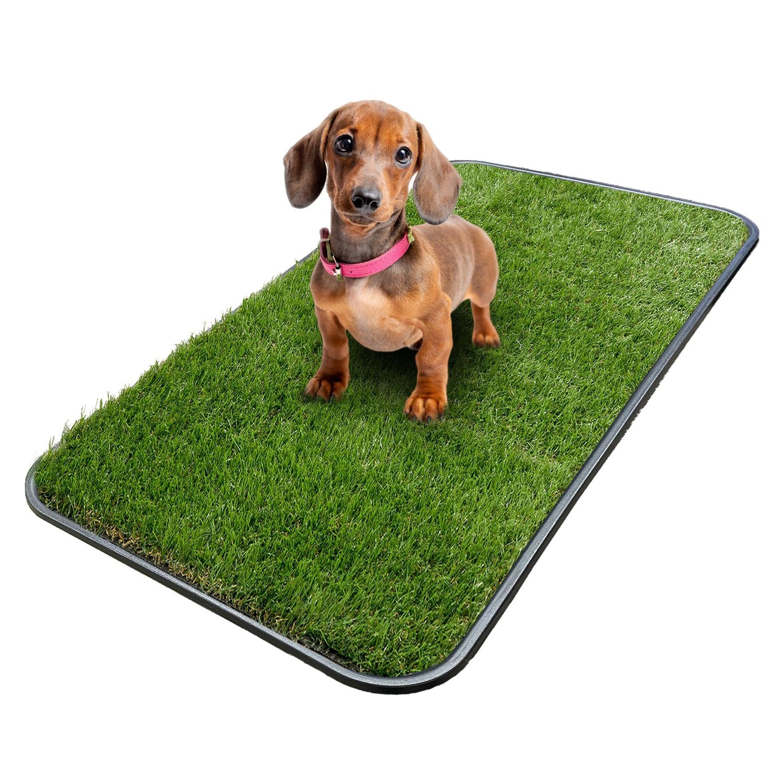 Artificial Grass Puppy Potty Training Pad with Tray, 15″ x 30″ Reusable Pee P…