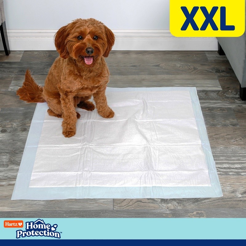 Mountain Fresh Dog Pads Leak Proof Heavy Absorbent XL Size Odor Control 20 Count