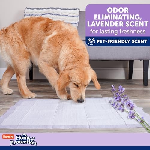 Disposable Dog Training Pads 36×36 3XL Lavender Scented 30 Count No Leak Odor