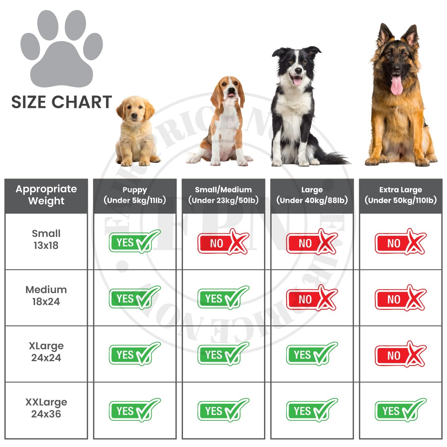 FPN Dog Pee Pads 50 Count 18×24 Inch | inch (50 Count), Scented Blue