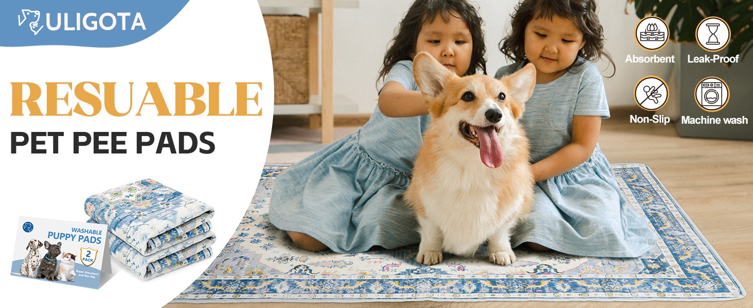 2-Pack 40×26 Washable Pee Pads for Dogs – Reusable Non-Slip Puppy Training Pads