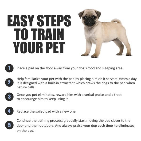 Leak-Proof Puppy Pads 300 Count 22″x22″ – Absorbent Dog Pee Pads with Odor Contr