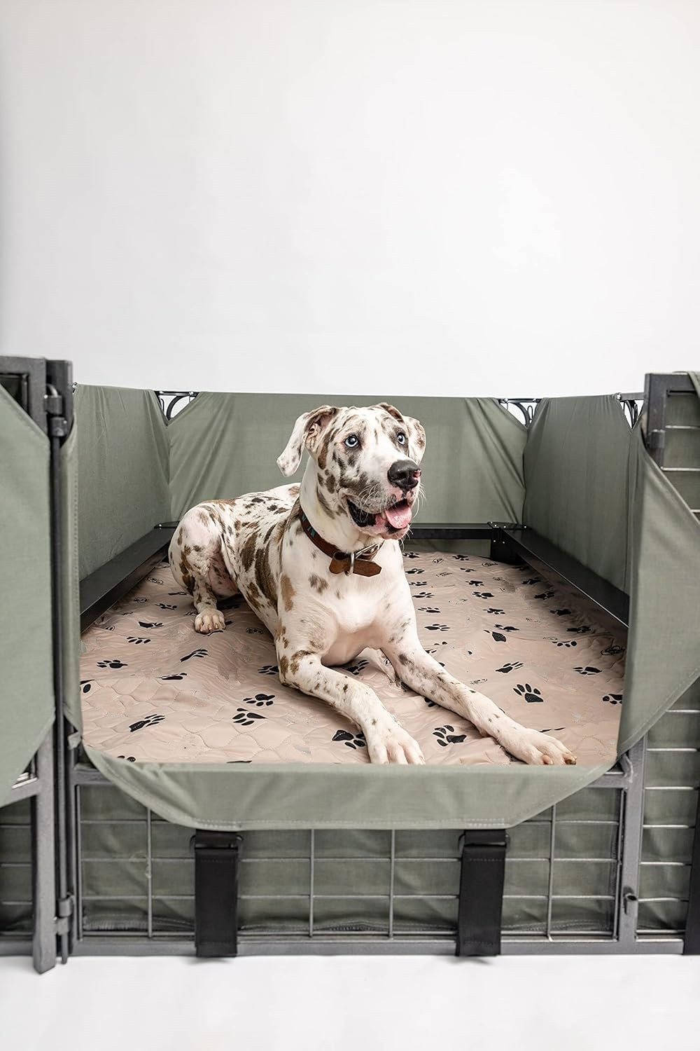 Juego de 2 Tapetes de Entrenamiento Lavables e Impermeables para Perro