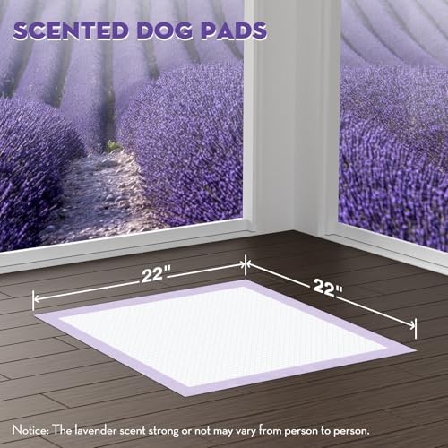 22x22in Puppy Pads with Adhesive Tabs, Dog Pee Pads Regular-22x22in(50Ct)