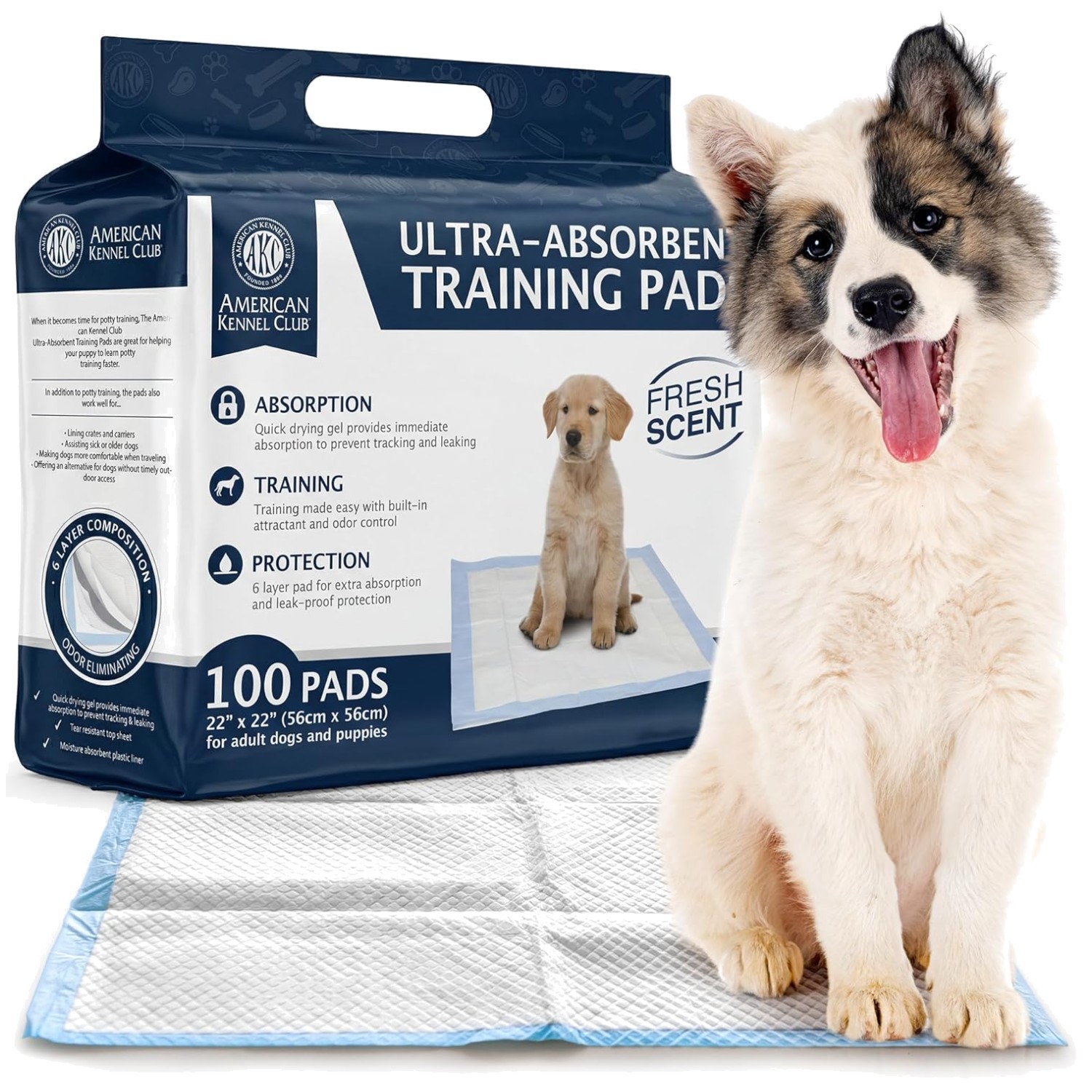 22×22 Dog Training Pads – Leak-Proof – Scented – 100 Pack