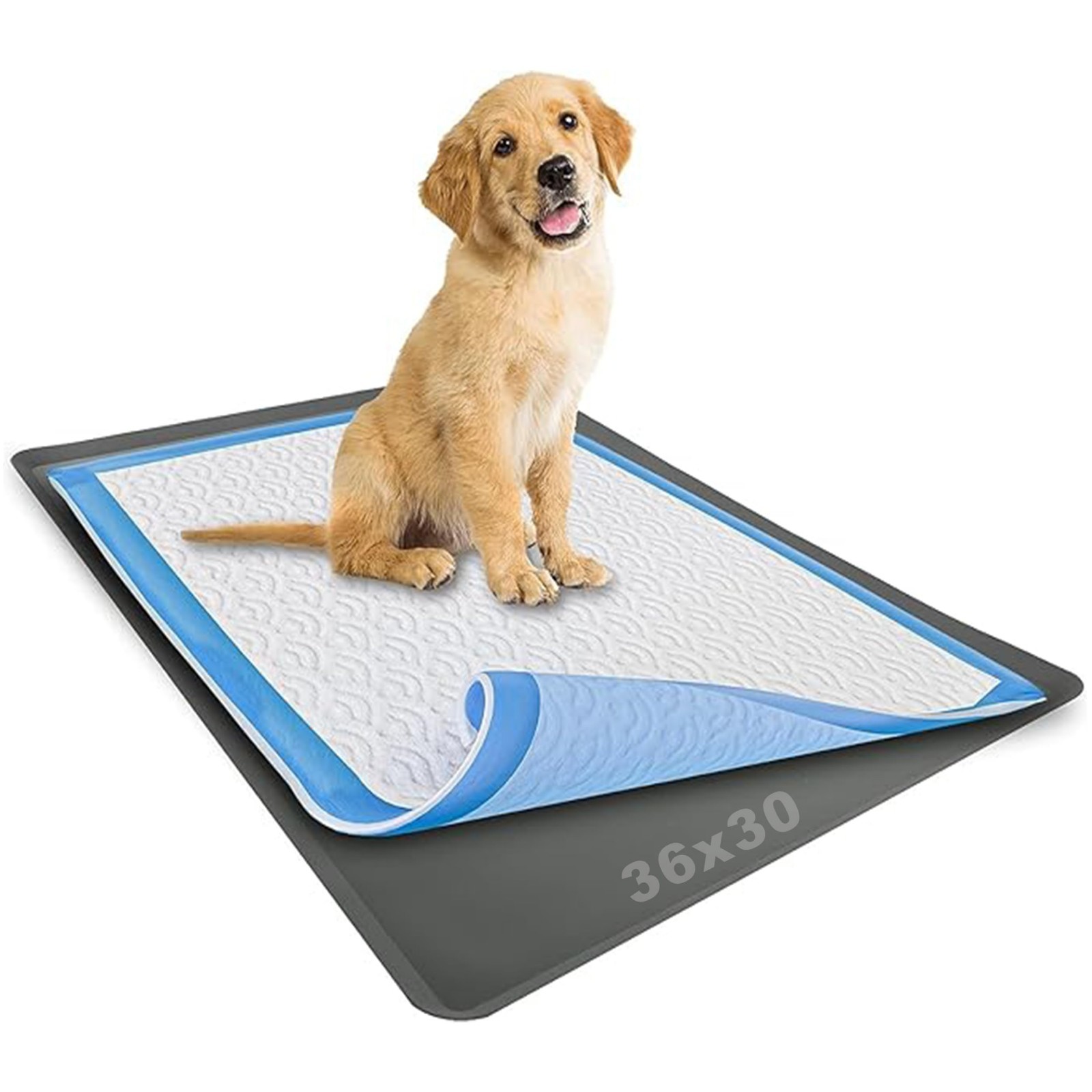 Dog Pee Pad Holder for 30” x 36” Pads – Grey, Stable Grip, Soft Edges, Easy Clea