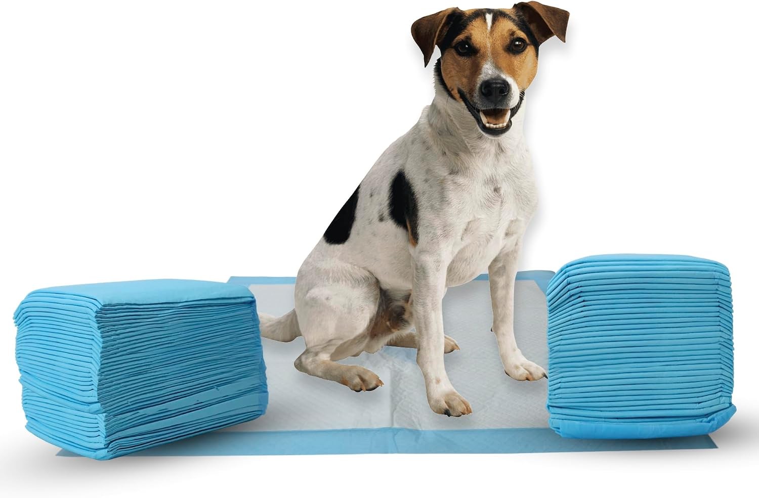 SPOT X Marks The Spot Dog Training Pee Pads 100 Count 22″ x 22″