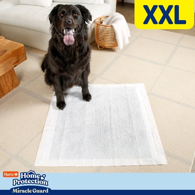 XXL Dog Pads Absorbent Quick Dry Spot Concealing Odor Control 20 Counts New