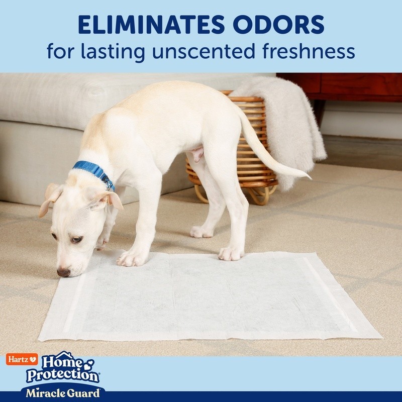 XXL Dog Pads Absorbent Quick Dry Spot Concealing Odor Control 20 Counts New