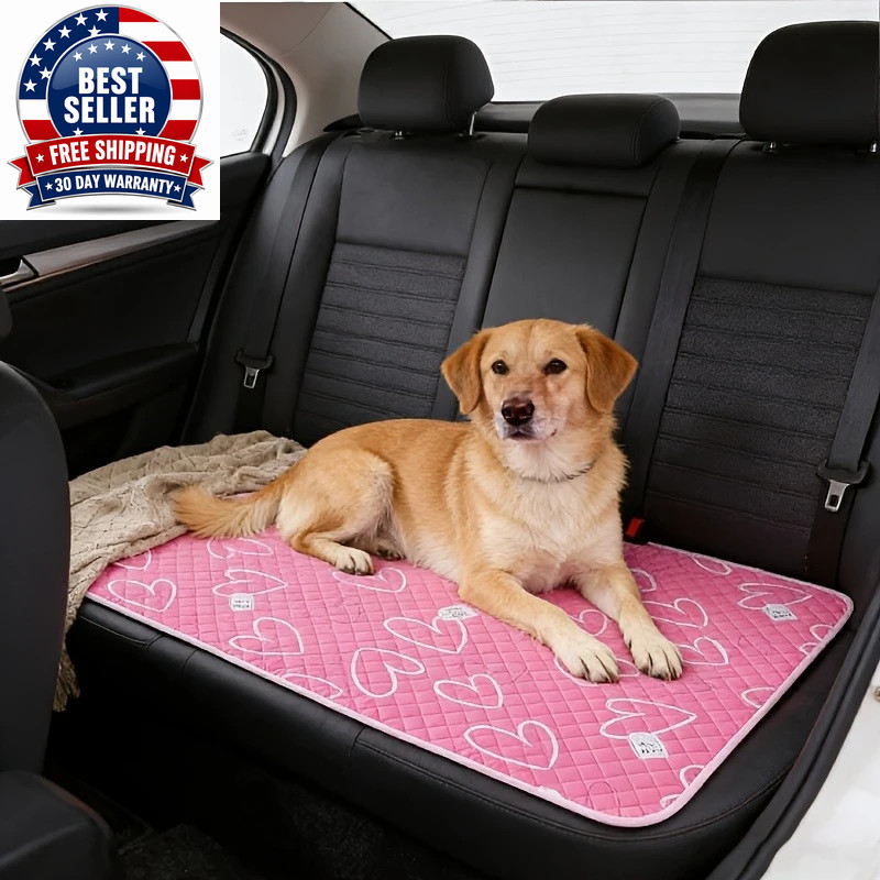 2Pcs Dog Training Mat Washable and Reusable Specially Designed for Pet Training