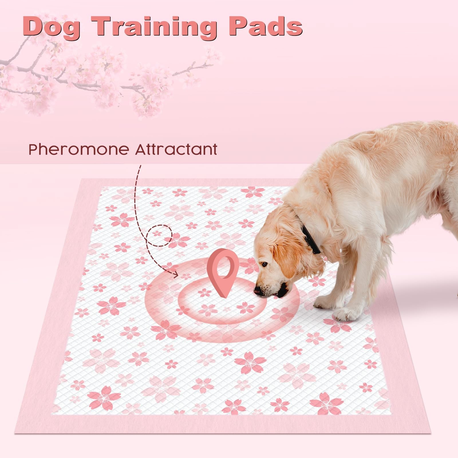 MIZOK Dog Pee Pads Extra Large 28″x34″, Potty Pads for Big Dog Breeds, Super …