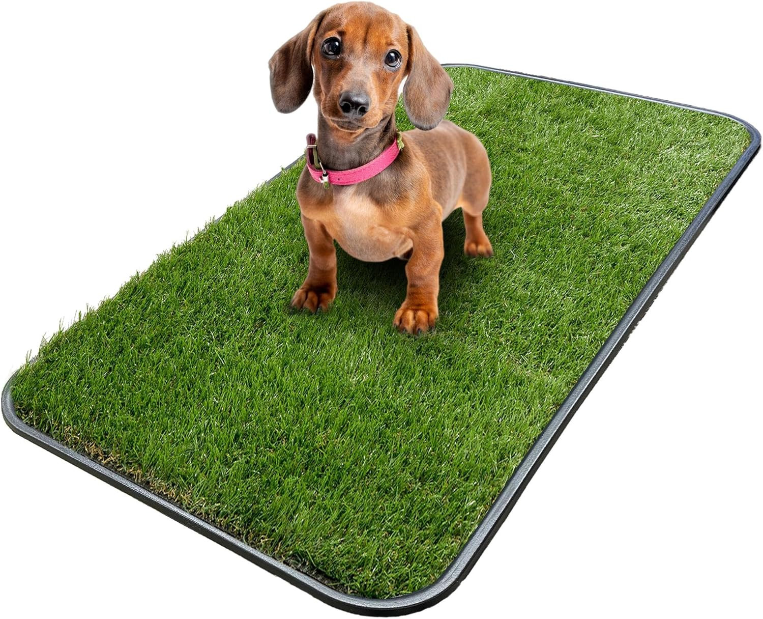 Artificial Grass Puppy Potty Training Pad With Tray 15″ x 30″ Reusable Pee