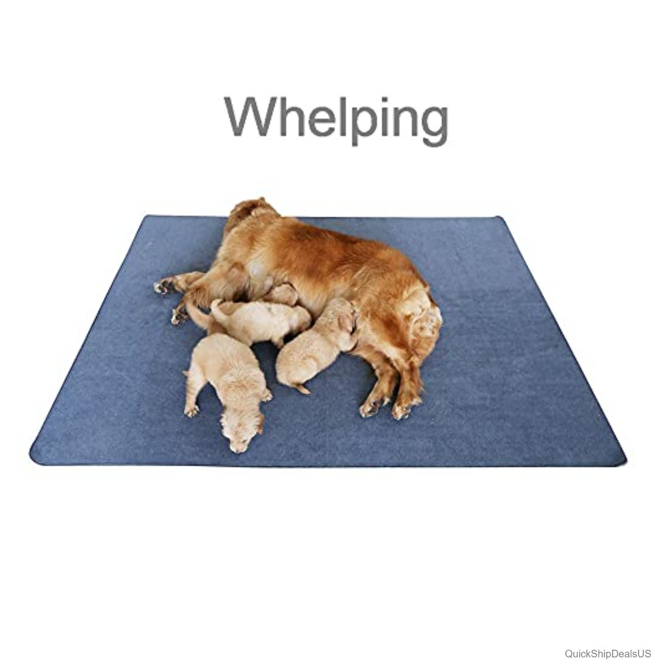 Washable Non-Slip Dog Pad 72×72 Waterproof Reusable Pee Pad for Puppy Training