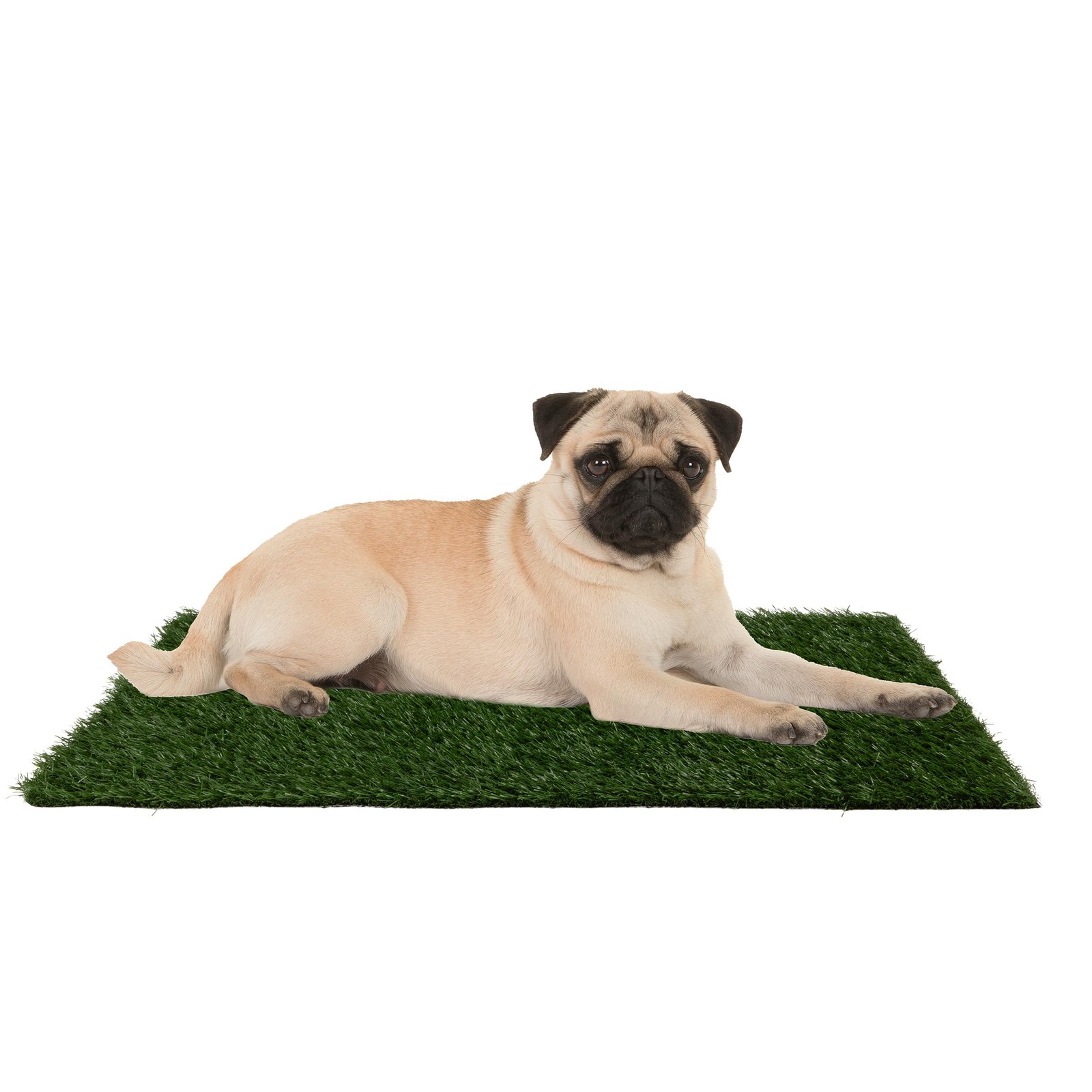 Artificial Grass Puppy Pee Pad for Dogs and Small Pets Set of Three 18.25×14…