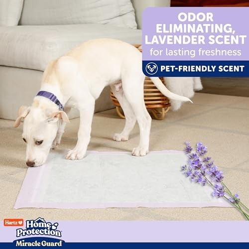 Dog Training Pads 25 Count Lavender Scented Max Absorbency 24 Hour No Leak