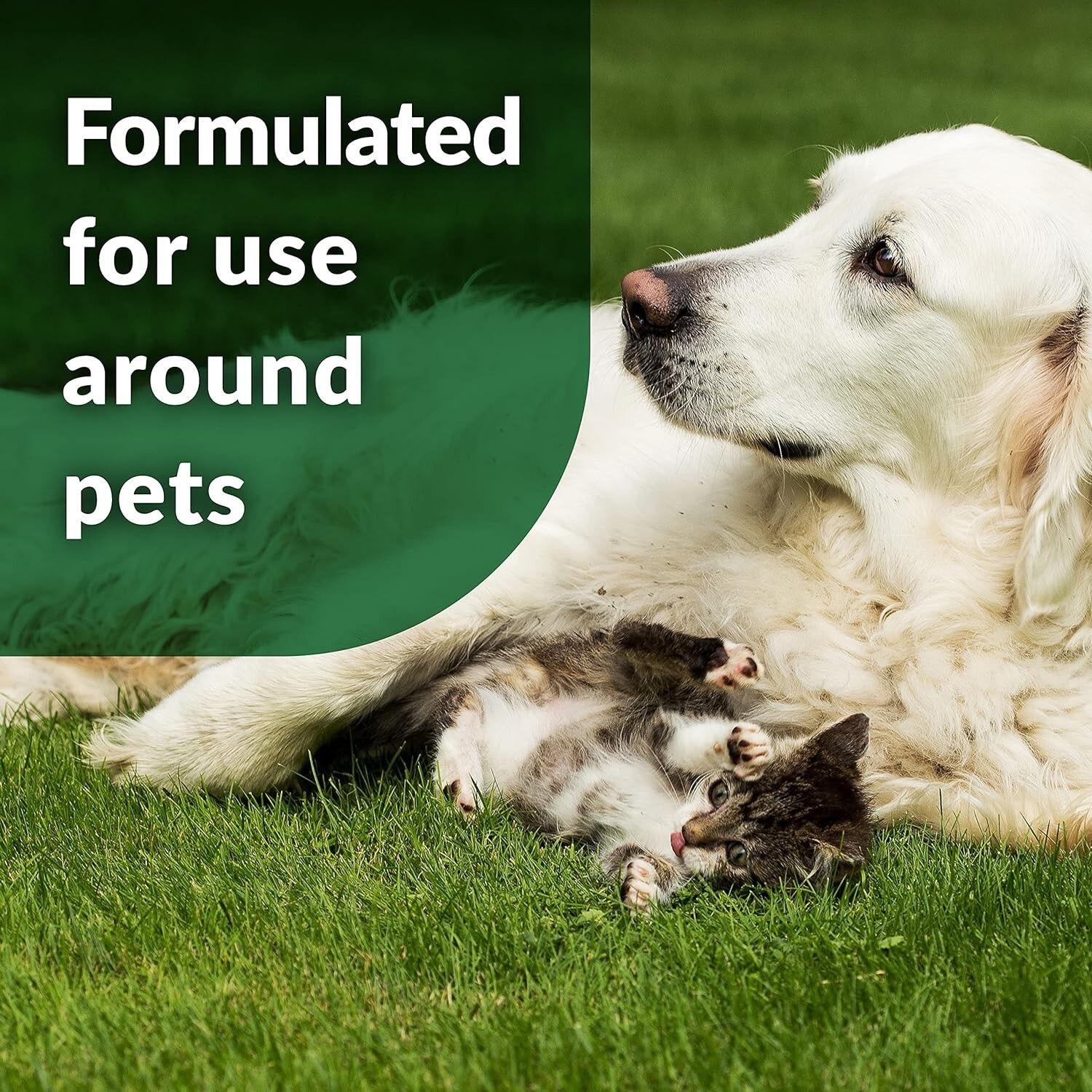 Outdoor Odor Eliminator for Pets, Dogs, Ideal for Artificial Grass & Patio 32…