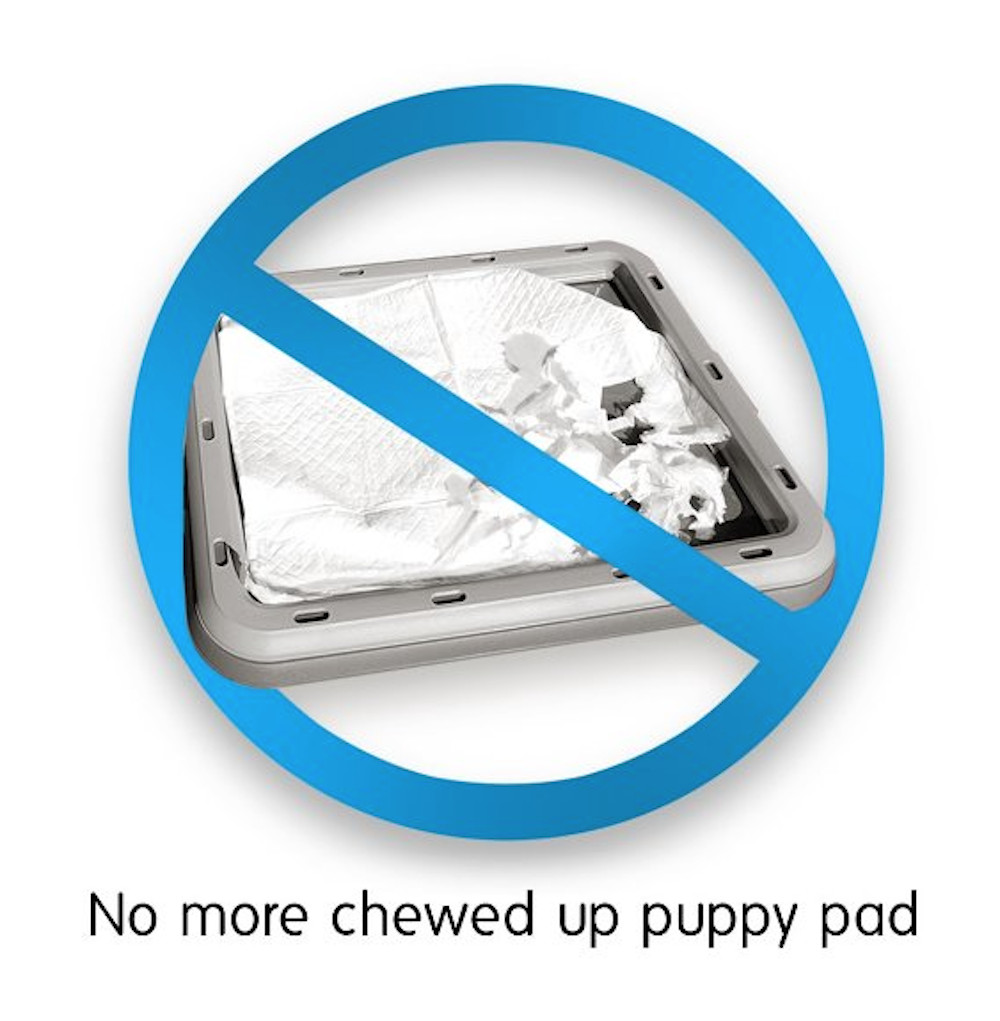 Alpha Dog Series – Indoor Puppy Potty Training Toilet Trays