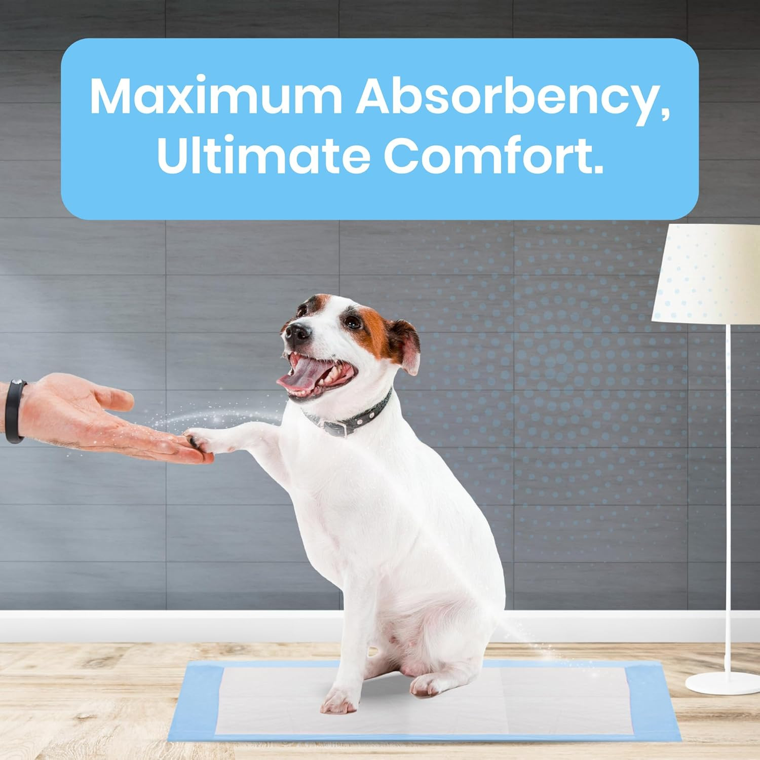 Kashmir Training Pads for Dogs 100 Count, Pee Pads for Dogs (Small, 13X18 Inch)