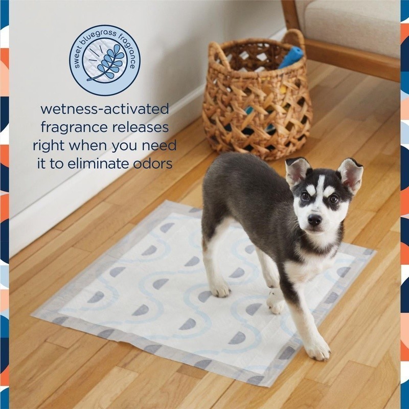 Smart Prints Dog Pads Large 75ct Odor Control Absorbent Disposable Training Pads