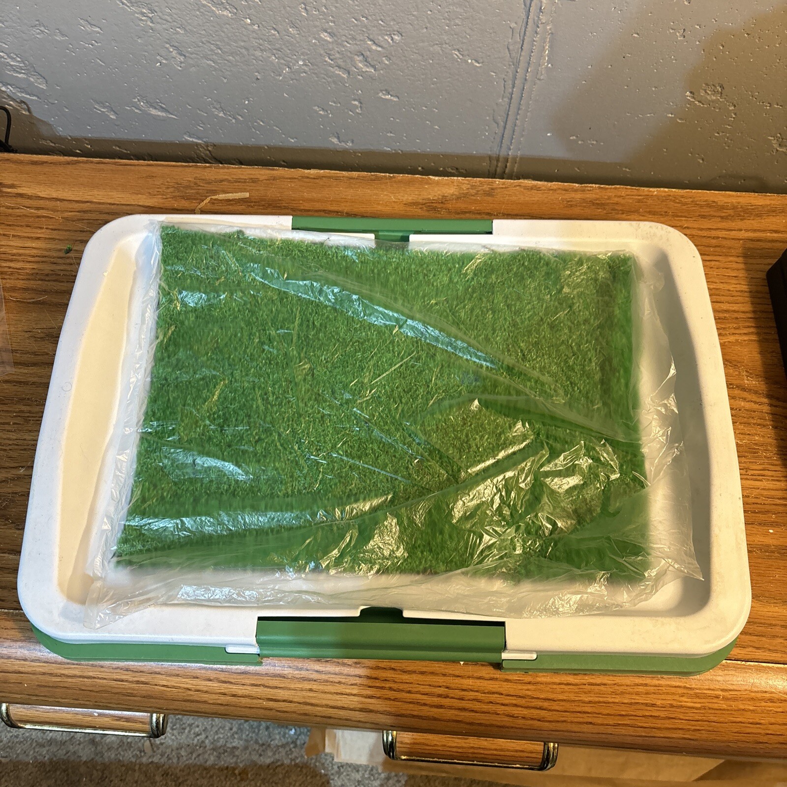 Puppy Toilet Training Tray W/ Grass – White/Green