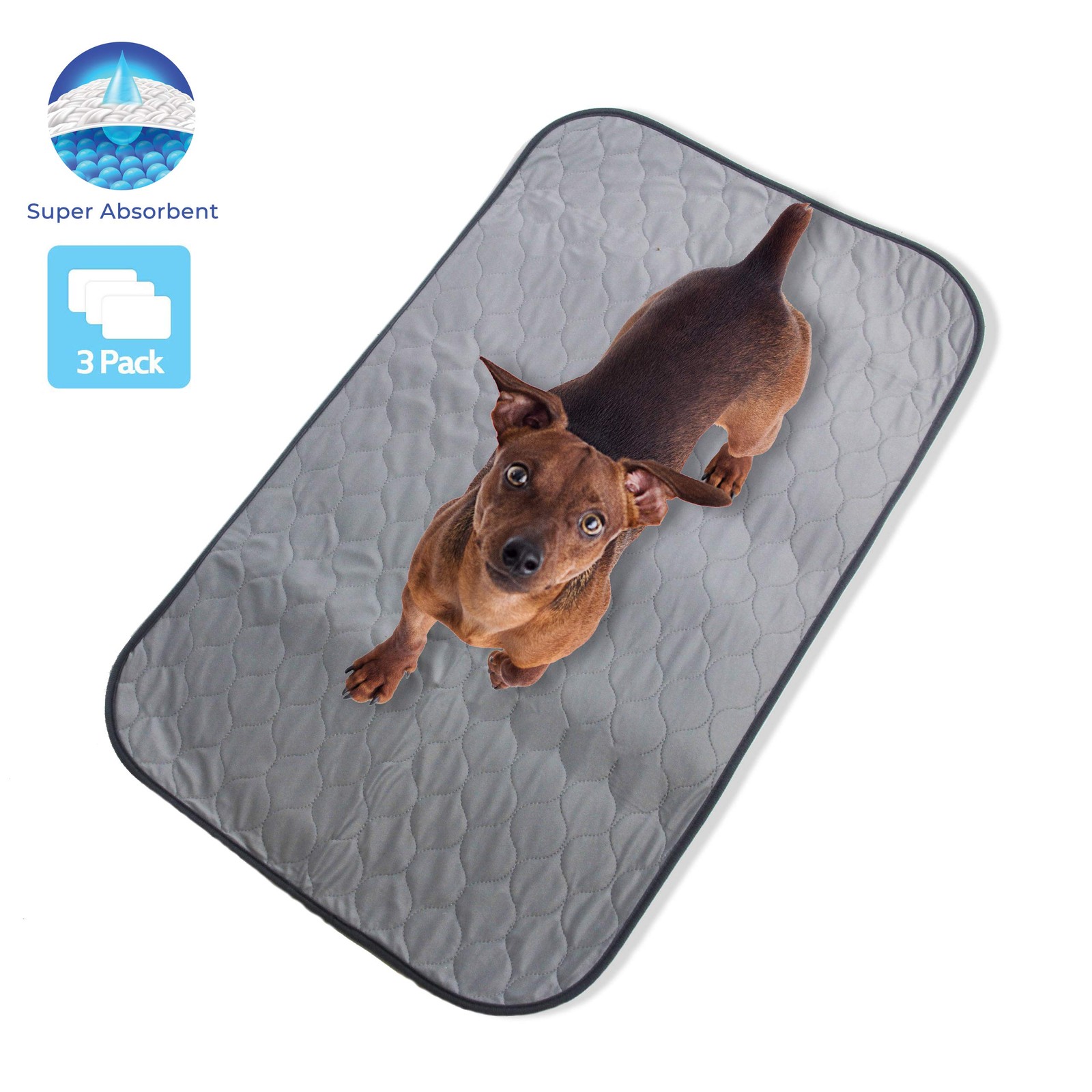 Pet Magasin Highly Absorbent Reusable Washable Pet Training Pads with Waterpr…