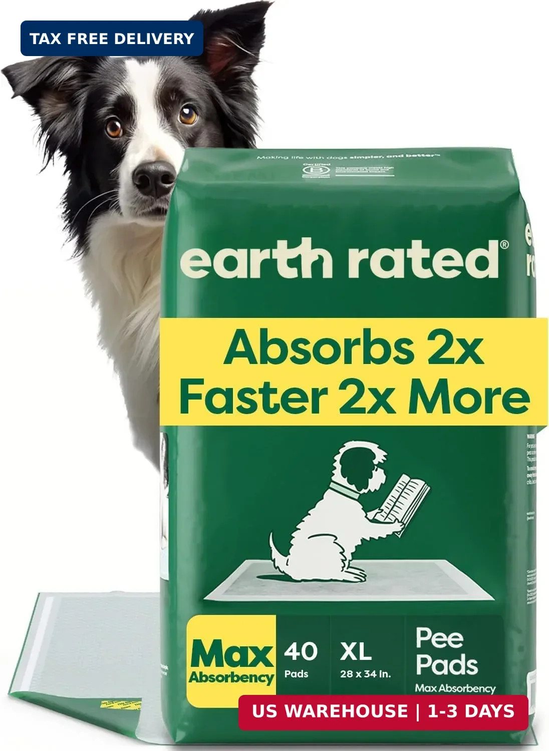 40 Puppy Pads, Max Absorbency Pee Pads for Dogs, XL | Max Absorbency