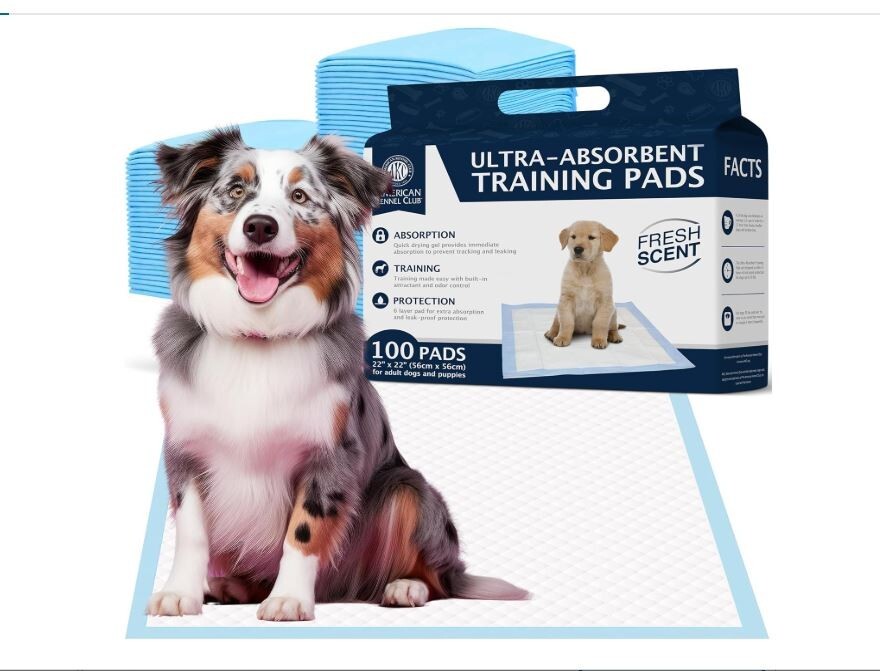 Scented Puppy Training Pads with Ultra Absorbent Quick Dry Gel – 22 x 22 Pee …